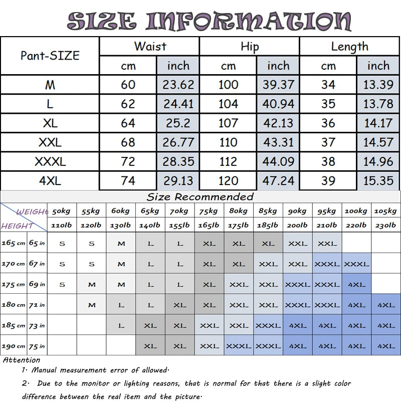 Mens Summer Outdoor Sports Shorts Quick Dry Athletic Workout Shorts with Pockets Lightweight Running Gym and Casual Beach Pants